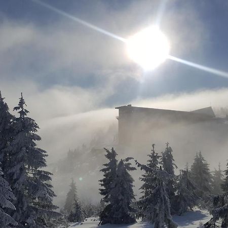 Apartman Medvědín 306 Špindlerŭv Mlýn Exteriér fotografie
