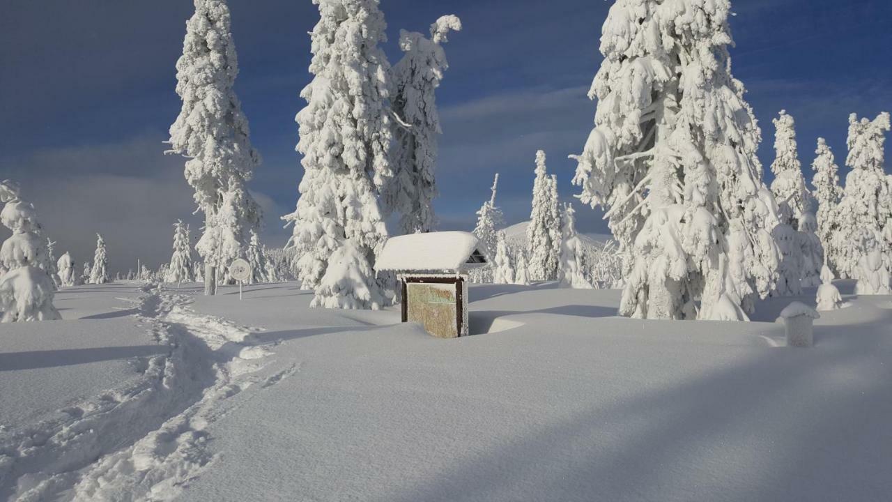 Apartman Medvědín 306 Špindlerŭv Mlýn Exteriér fotografie